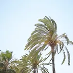 Great Near The Sea *