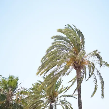 Great Near The Sea *