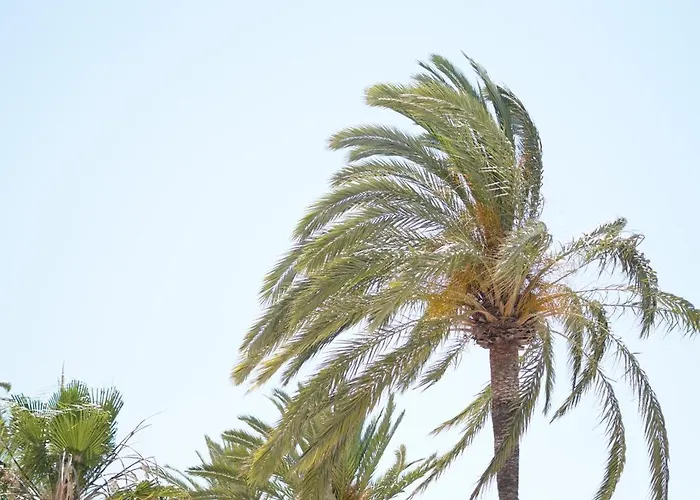 Great Near The Sea *
